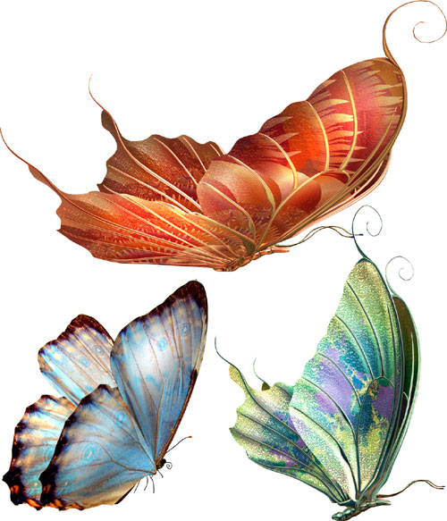 Butterflies%20Transparency.jpg